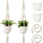 White Cotton Macrame Plant Holders with White Flower Pots