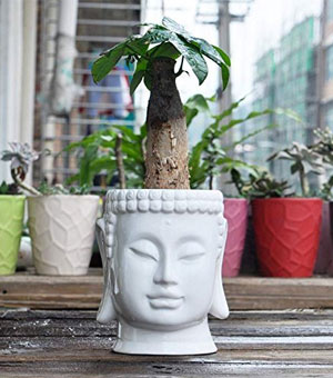 White Ceramic Buddha Head Shaped Planters