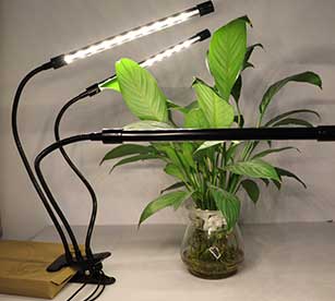 Grow Lights for Houseplants in Low-Light Rooms