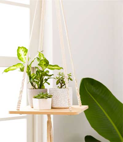 Unique Macrame Hanging Plant Shelf for Spider Plants and Home Decor