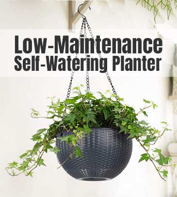 Hanging Self-Water Planter - Low Maintenance Resin Container for Growing SPider Plants Indoors or Outside 