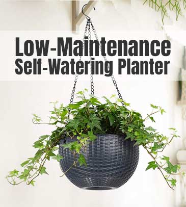 Hanging Self-Water Planter - Low Maintenance Resin Container for Growing SPider Plants Indoors or Outside