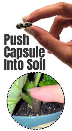 Organic Houseplant Fertilizer Capsules