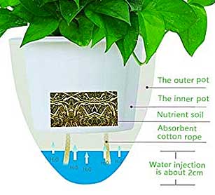 How a Self-Watering Planter Works