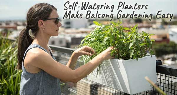 Self Watering Railing Planter Makes Balcony Gardening Easy